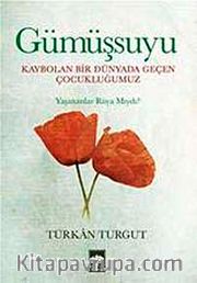 Gümüşsuyu
