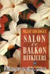 Salon ve Balkon Bitkileri