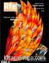 Cheese Life Dergisi Sayı:82 Nisan-Mayıs-Haziran