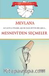 Mesnevi’den Seçmeler