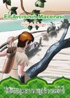 Fil Avcısının Macerası