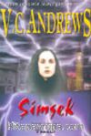 Şimşek (Hudson Serisi 2)