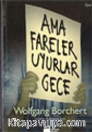 Ama Fareler Uyurlar Gece
