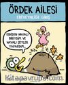 Ördek Ailesi & Ebeveynliğe Giriş