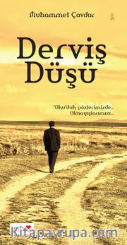 Derviş Düşü