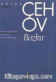 Bozkır