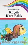 Küçük Kara Balık