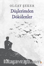 Düşlerimden Dökülenler