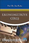 Ekonometriye Giriş