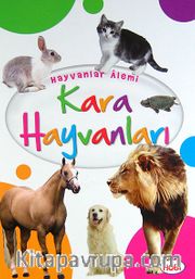 Kara Hayvanları / Hayvanlar Alemi