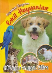 Evcil Hayvanlar / Hayvanları Tanıyorum