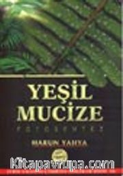 Yeşil Mucize / Fotosentez