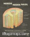 Nerede, Neden, Nasıl