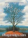 Gök Ağacı