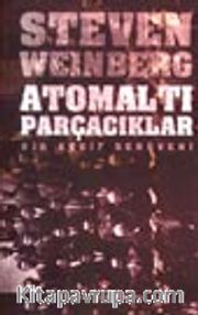 Atomaltı Parçacıkları (Ciltli)