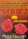 Dua ve Şifa Demetleri (yas-003)