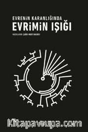 Evrenin Karanlığında Evrimin Işığı