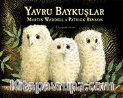 Yavru Baykuşlar