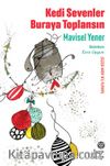 Kedi Sevenler Buraya Toplansın