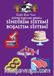 Sindirim Sistemi - Boşaltım Sistemi / Eğitim Kartları Serisi 6