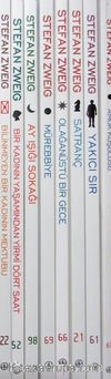 Stefan Zweig Seti (8 Kitap)