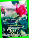 Tefekkürnameler