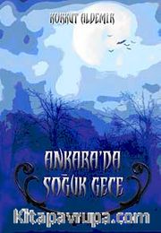 Ankara'da Soğuk Gece