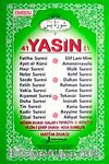 41 Yasin Fihristli (Rahle Boy) Yeşil Kapak