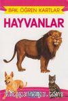 Hayvanlar / Bak Öğren Kartlar