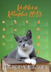 2018 Takvimli Poster - Kediler ve Kitaplar - Yeşil