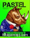 Pastel Dergi Sayı:4 2017