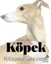 Köpek Kitabı & Resim Sanatında Köpekler