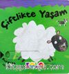 Çiflikte Yaşam