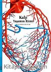 Kalp & Yaşamın Ritmi