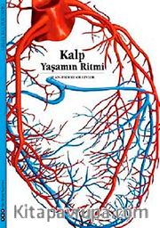 Kalp <br /> Yaşamın Ritmi