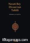 Necati Bey Divanı'nın Tahlili