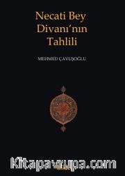 Necati Bey Divanı'nın Tahlili