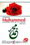 Muhabbeten Muhammed Sallallahu Aleyhi ve Sellem & Oldu Hasıl