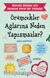 Örümcekler Ağlarına Neden Yapışmazlar?