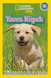 National Geographic Kids -Yavru Köpek