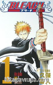 Bleach  1. Cilt - Ölüm ve Çilek