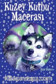 Kuzey Kutbu Macerası