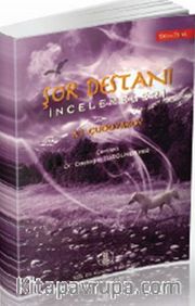 Şor Destanı İncelemeleri