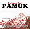 Oblomov Kedi Pamuk