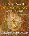 Bir Dahaki Sefer Örümcek Ağı Gördüğünde