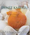 Bir Dahaki Sefer Deniz Kabuğu Gördüğünde 
