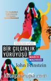 Bir Çılgınlık Yürüyüşü