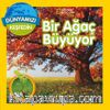 National Geographic Kids  Bir Ağaç Büyüyor