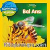 National Geographic Kids / Bal Arısı