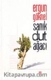 Sanık Dut Ağacı